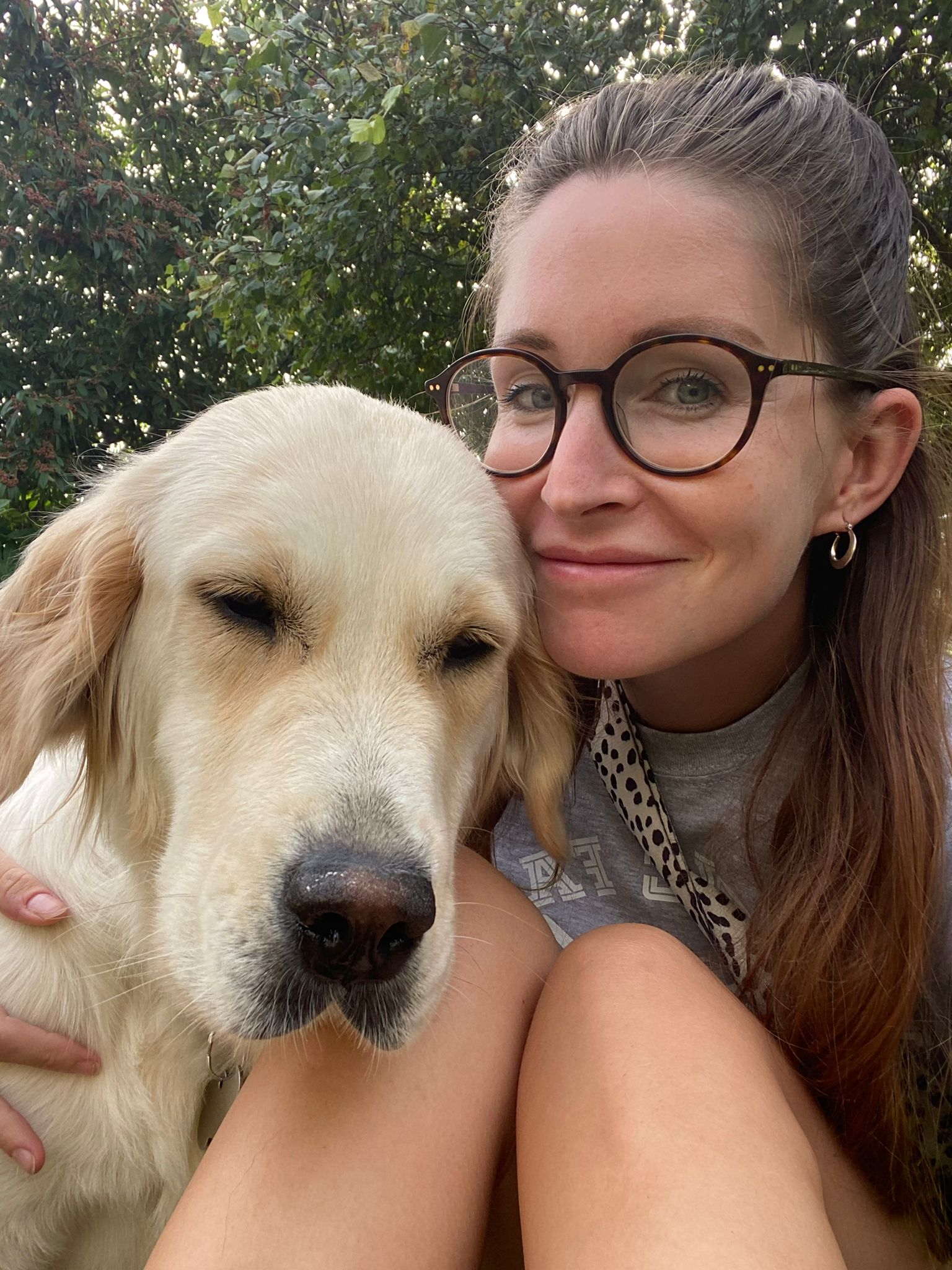 Happy dog walking